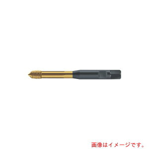 �����^�[�W���p���iWALTER�j�@Prototyp�@�]���^�b�v�@�y�i�ԁFS2061306-M4�z