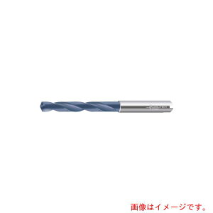 �����^�[�W���p���iWALTER�j�@Titex�@�����N�[�����g�d�l���d�h�����iPerform�@DC150�j�@�y�i�ԁFDC150-05-06.600A1-WJ30RE�z