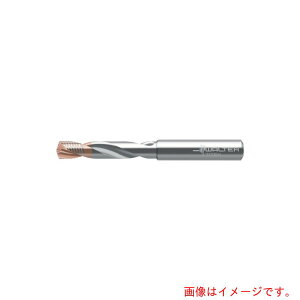 �����^�[�W���p���iWALTER�j�@Titex�@�����N�[�����g�d�l���d�h�����iSupreme�@DC170�j�@�y�i�ԁFDC170-03-08.300A1-WJ30EJ�z