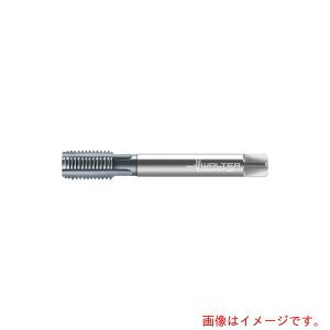 �����^�[�W���p���iWALTER�j�@Prototyp�@�}�V���^�b�v�@�y�i�ԁFE2136466-M22X1.5�z
