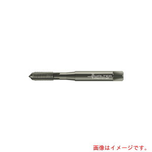 �����^�[�W���p���iWALTER�j�@Prototyp�@�}�V���^�b�v�@�y�i�ԁFE23314-UNF1/4�z