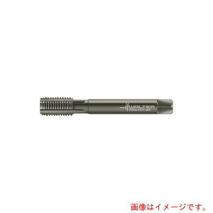 �����^�[�W���p���iWALTER�j�@Prototyp�@�}�V���^�b�v�@�y�i�ԁFE23364-UNF5/8�z
