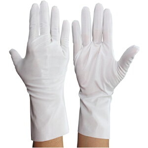 ECZX@WINCESS@n܁@@i10oj@SSTCY@yiԁFBX-509N-SS-10Pz