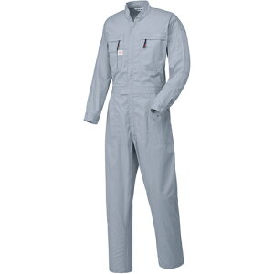 �R�c�C�@AUTO�|BI�@�Ȃ���5700�|007�O���[�|4L�@�y�i�ԁF5700-007-4L�z