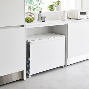 RƁ@WtډBʃ_XgS ^[ 45L 3 zCg 4903208018227@yiԁF01822z