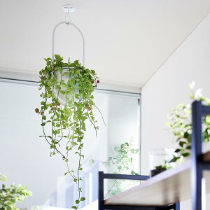 RƁ@V䂩݂艺łv^[tbN ^[ ΂{[hǑΉ zCg 4903208102278@yiԁF010227z