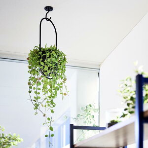 RƁ@V䂩݂艺łv^[tbN ^[ ΂{[hǑΉ ubN 4903208102285@yiԁF010228z