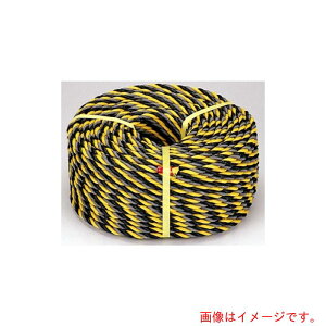 cHƁ@W[v@12pC×100[g@yiԁF3089z