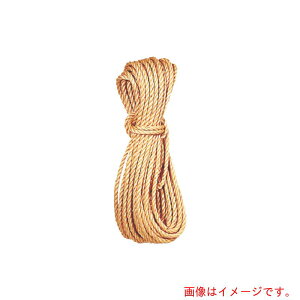 cHƁ@}jgbN[v@10×30m@yiԁF3520z