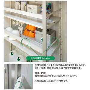 ���쐻�|���@���h�R�E�@�G�X�������h�~�o�[�@�i���ʗp�j12L�@�y�i�ԁFESF RAKKABOUSIBAR SYOUMEN 12L�z��