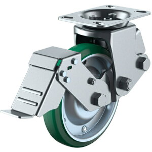 ���[�G�C�@�v���[�g���@�Œ�@�L���X�^�[�@�΃S���@�ԗ֌a200mm�@�X�g�b�p�[�t���@SKY�^�C�v�@SKY�|2R�|S�^�@��t���@133×86�i125×62�j�@�y�i�ԁFSKY-2R200WFS(GR)-A-1�z