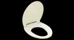 yTC291zg[g[ ʕ֍X^_[h^Cv(GQ[gE^) yTOTOz