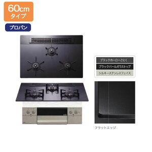 yN3WU3PWASQSTECzm[c rgCR OrcheiIVFj ubNp[ Wt[hA 60cm/vp yNORITZz