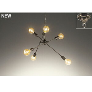 �yOC257049LC1�z�I�[�f���b�N �V�����f���A LED�d���t�B�������g�` �yodelic�z