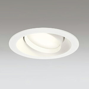 �yOD361241LDR�z�I�[�f���b�N S�` �_�E�����C�g ���M��100W�N���X ���C��SB �����FLED LED�d���t���b�g�`