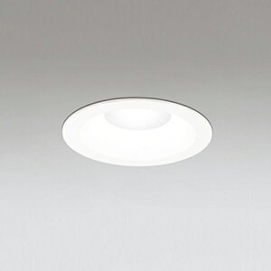 �yOD261717R�z�I�[�f���b�N S�` �x�[�X �_�E�����C�g R15�^�C�v ���M��100W