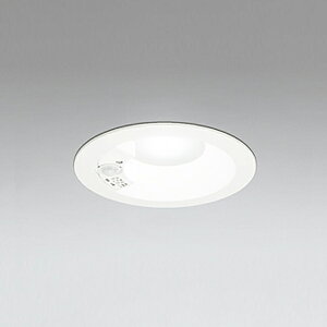 �yOD261249R�z�I�[�f���b�N S�` �Z���T�[�t�_�E�����C�g R15�^�C�v ���M��100W