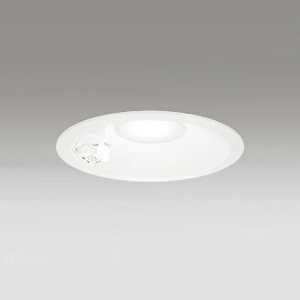 �yOD261962R�z�I�[�f���b�N S�` �Z���T�[�t�_�E�����C�g R15�^�C�v ���M��60W