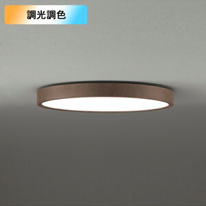 yOL291566BRzI[fbN V[OCg LEĎ^ dF-F 12 NCbNt EF s Rg[[ʔ ODELIC