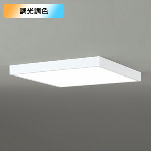 yOL291508BRzI[fbN V[OCg LEĎ^ dF-F 12 ȈՎt FEs Rg[[ʔ ODELIC