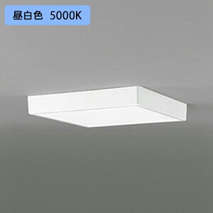 yOL251738RzI[fbN V[OCg LEĎ^ F FCL30W A ʔ ODELIC