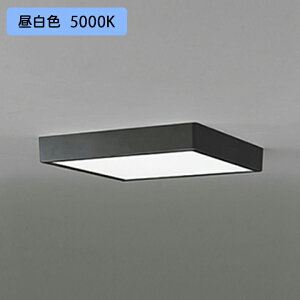 yOL251740RzI[fbN V[OCg LEĎ^ F FCL30W A ʔ ODELIC