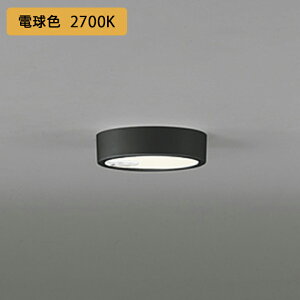 yOL251783RzI[fbN V[OCg LEĎ^ dF 60W lZT[t M Es ODELIC