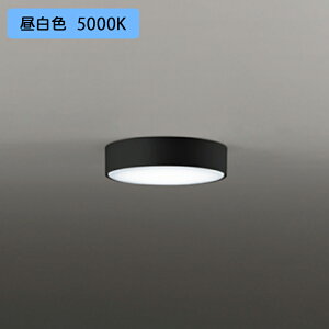 �yOL291279NR�z�I�[�f���b�N �V�[�����O���C�g 60W LED��̌^ �����F ���M����� �E������s�� ODELIC