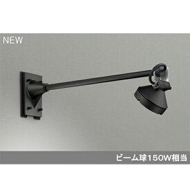 【OG254909】オーデリック エクステリア スポットライト LED一体型 【odelic】