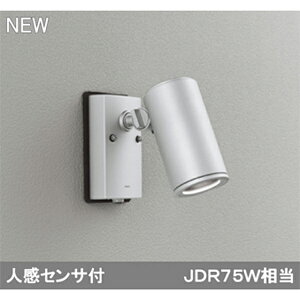 yOG254726P1zI[fbN GNXeA X|bgCg LEĎ^ yodelicz