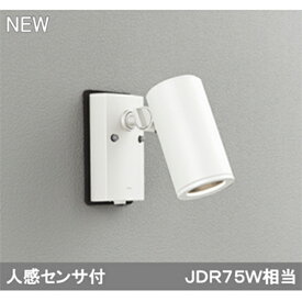 【OG254548P1】オーデリック エクステリア スポットライト LED一体型 【odelic】