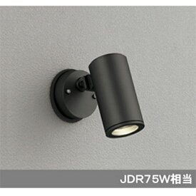 【OG254354】オーデリック エクステリア スポットライト LED一体型 【odelic】