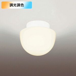 �yOW269046RG�z�I�[�f���b�N �o�X���[�� �E�ߏ� ���M����� 60W LED �d���F�����F�t���J���[���F�E������s�� �R���g���[���[�ʔ� ODELIC