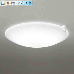 yOL291498CRzI[fbN V[OCg LEĎ^ ƓxZT[t -8 T[JfBA EF Rt dF-AY[F ODELIC