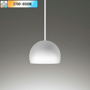 �yOP252788BR�z�I�[�f���b�N �y���_���g���C�g LED�d���t���b�g�` �����FLED ���M�����60W���� �t�����W ������s�� �R���g���[���[�ʔ� �d���F-�����F ODELIC