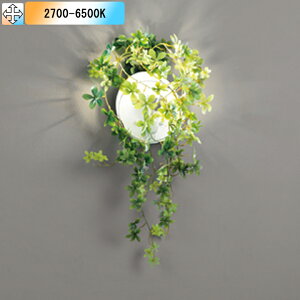 yOB255128BRzI[fbN uPbgCg LEDd~jNvg` FLED M40W s Rg[[ʔ dF-F ODELIC