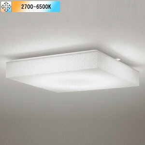 yOL291592BRzI[fbN ay_g LEĎ^ FLED -10 EF s Rg[[ʔ dF-F ODELIC