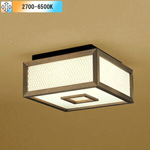 yOL251844BR1zI[fbN a^V[O LEDdtbg` FLED FCL30W s Rg[[ʔ dF-F ODELIC