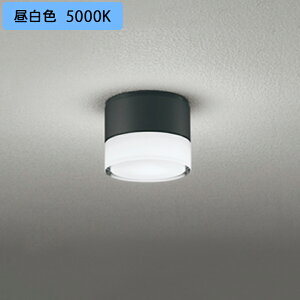 【OG264061NR】オーデリック エクステリア ポーチライト LED電球フラット形 高演色LED 白熱灯器具40W相当 調光器不可 昼白色 ODELIC
