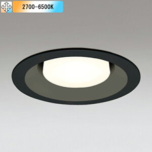 �yOD361364BR�z�I�[�f���b�N �_�E�����C�g(S�`) LED�d���t���b�g�` �����FLED FHT24W�N���X �u���b�N ������s�� �R���g���[���[�ʔ� �d���F-�����F ODELIC