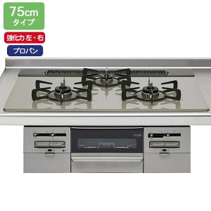 �yZGGRK7R22GSS-K�z�N���i�b�v �K�X�R���� �V���o�[/�V���o�[ �Ԍ�75cm ���Ήi���E�E�j �v���p�� �K���X�g�b�v�R���� �ycleanup�z