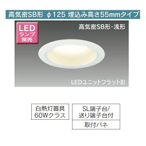 �yLEDD85001N�z���� �_�E�����C�g LED���j�b�g�t���b�g�` ���C��SB�` ��������125 �ytoshiba�z