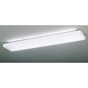 �y�@�l�l����z�yNNF42591 LT9+LDL40S�EN/19/25-K�z�p�i�\�j�b�N �ʔ������v2500lmK�Ƃ̑g���� 2���p ���� �ypanasonic�z/������s�i