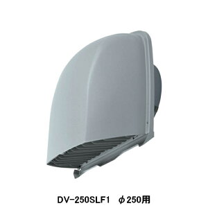 yDV-250SLF1z C ƖpESMjbg ʔi `pCvt[h XeX Kt CgO[h 250p