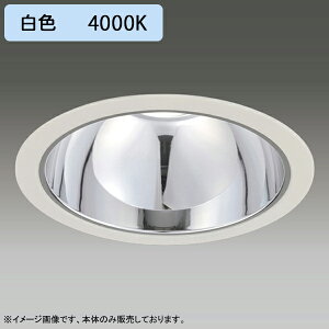 �yLEDD-60373MWV�z���� LED��̌`�_�E�����C�g ������ ��200 �O���A���X �z���p 55° ���p�^�C�v �{�� �d�����j�b�g�ʔ� ���F �󒍐��Y�i TOSHIBA