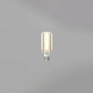 yLDTS71L-G-E39z LEDd E39 XHj[ApLEDvidʒu`/dFj 71WV[Y150W` yTOSHIBAz