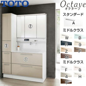 【3年あんしん保証付】【送料無料】TOTO ●洗面化粧台セット オクターブ 間口1200mm 高さ1900mm 2段引き出し タッチレスお掃除ラクラク水栓 きれい除菌水 F4 スウィング3面鏡 タッチレスワイドLED エコミラー トールキャビネット 一般地 LDSFB090BCGAN2-set1