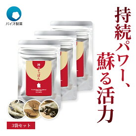 【お得！3袋セット】バイオ製薬 神のすっぽん 370mg×30粒(30日分)×3袋セット 純国産すっぽん 高麗人参 国産霊芝 カプセル