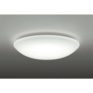 �I�[�f���b�N[OL291345R]�I�[�f���b�N�iODELIC�jLED�V�[�����O���C�g