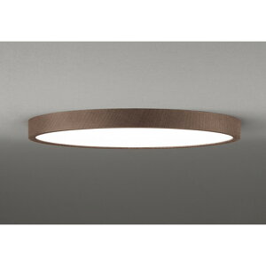 �I�[�f���b�N[OL291422BR]�iODELIC�jLED�V�[�����O���C�g